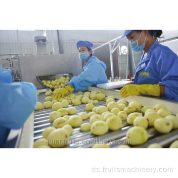 Maquinaria de papas fritas desde el lavado hasta la línea de embalaje